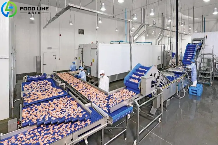large scale continuous shrimp processing line