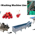 Cherry Washing Machine Line for Sale | Washing, Drying & Weight Grading turnkey cherry washing machine line