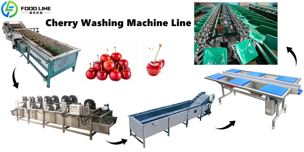 turnkey cherry washing machine line