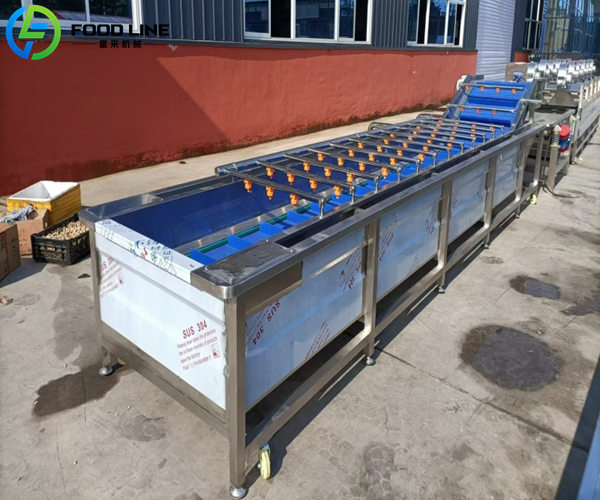 washing and drying equipment for strawberry blueberry berry