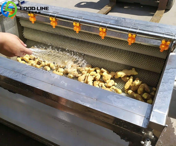 washing and peeling equipment for ginger and potato