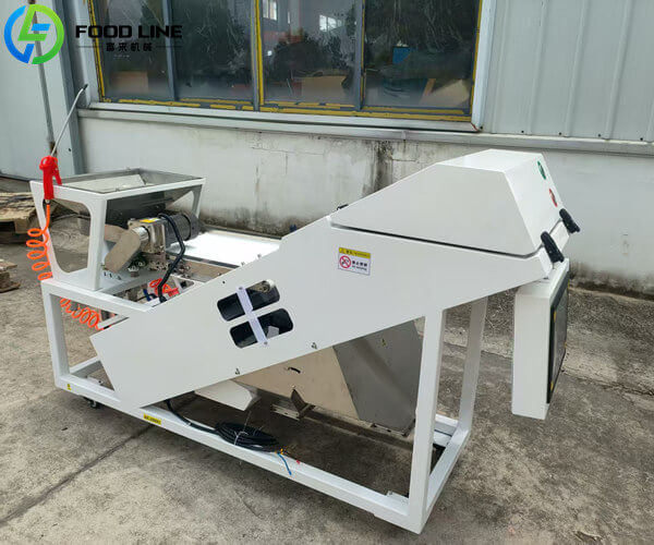 belt type color sorter for fragile materials