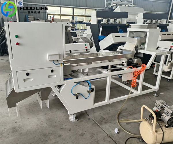 belt type color sorting system for fragile nuts