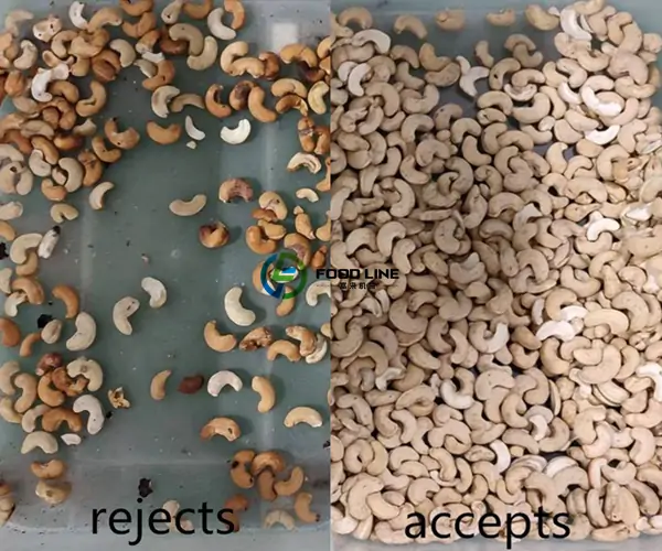 cashew color sorting results