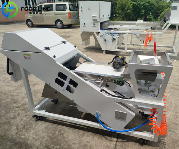 high capacity color sorter with conveyor belt
