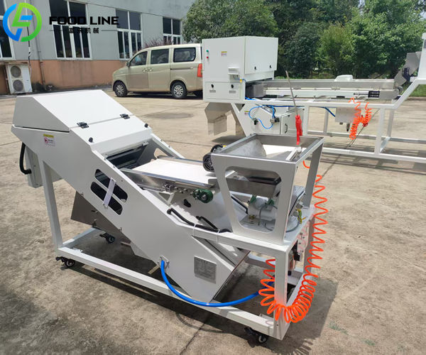 industrial belt color sorter for food processing