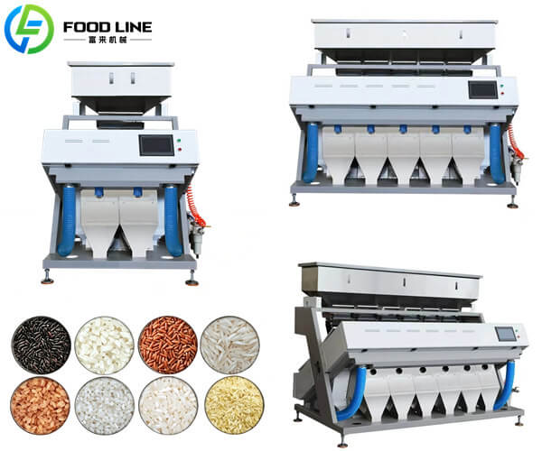 precise rice sorting equipment manufacturer