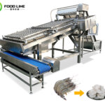 Industrial Shrimp Peeling Machine for Sale fully automatic shrimp peeling machine