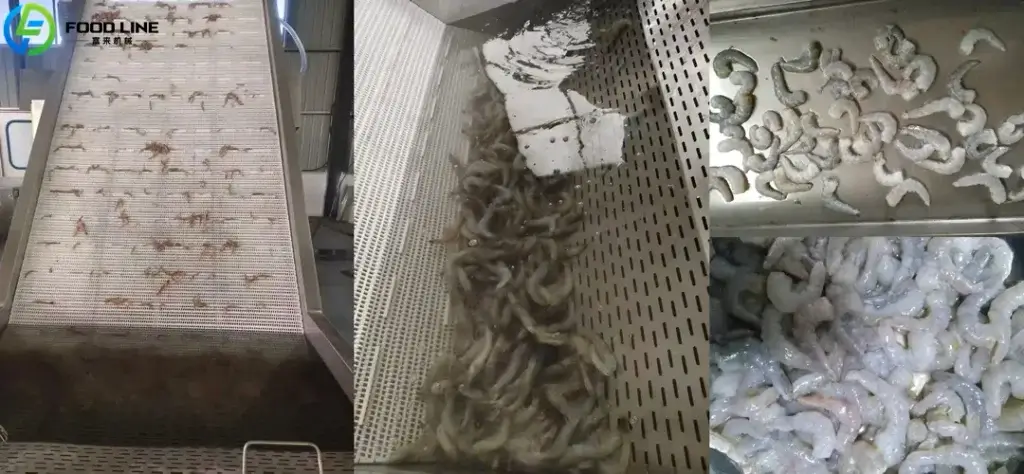 industrial shrimp deshelling machine for cleaned shrimp