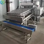 150kg/h Shrimp Deshelling Machine Shipped to Ecuador industrial shrimp deshelling machine for sale