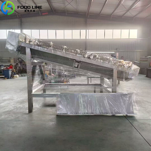 industrial shrimp peeler machine in protective film