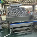 300kg/h Shrimp Peeling Equipment Exported to Peru industrial shrimp peeling equipment for sale in peru