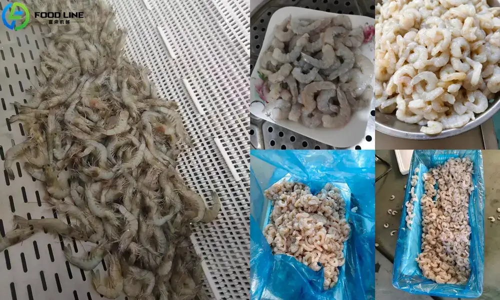 processing results of industrial shrimp peeler machine