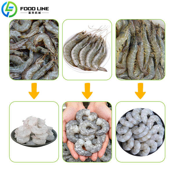 shrimp before and after peeling