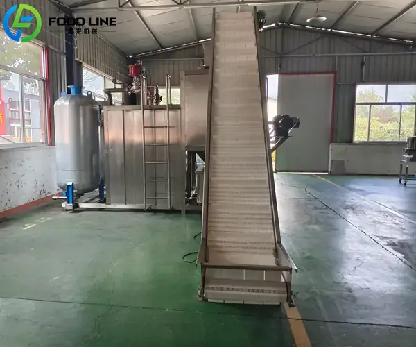 industrial steam peeling equipment for food processing plants