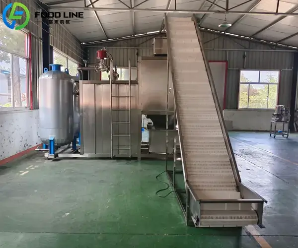 steam peeling machine for potato processing line