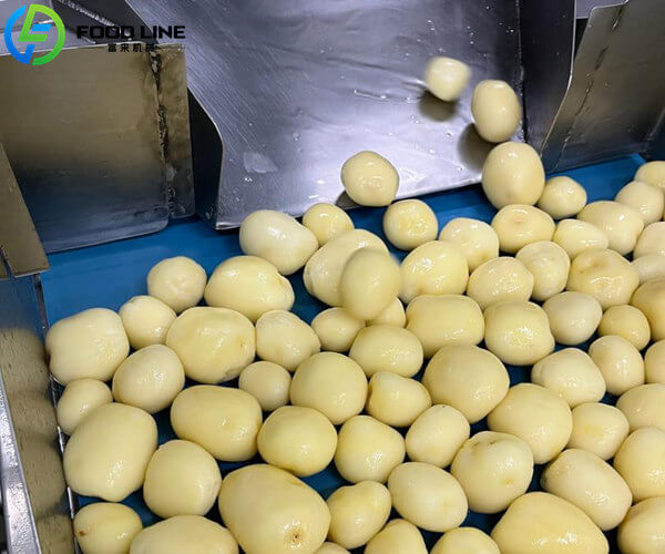 steam peeling machinery uniform peeling results on every batch